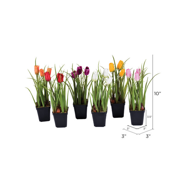Multicolor Assorted Tulip with Black Pot, 6-Piece, image 2