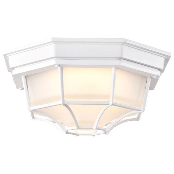 White LED Spider Cage Outdoor Wall Mount with Frosted Glass, image 6