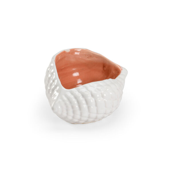 White and Orange  Andros Shell, image 1