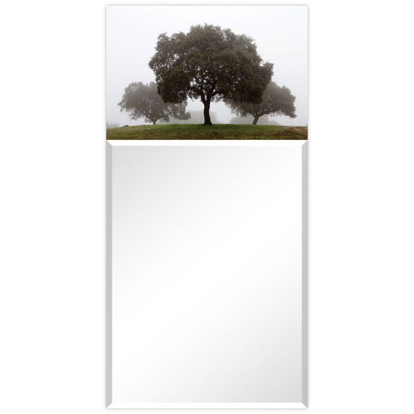 Solitude Gray 48 x 24-Inch Rectangular Beveled Wall Mirror, image 6