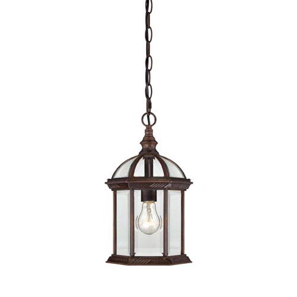 Boxwood Rustic Bronze Finish One Light Outdoor Hanging Pendant with Clear Beveled Glass, image 1