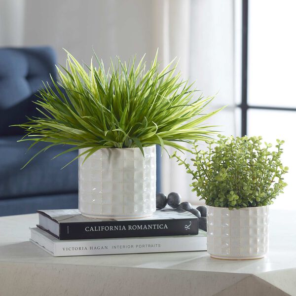 Edgewood White Pot with Variegated Grass And Sedum, Set Of Two, image 2