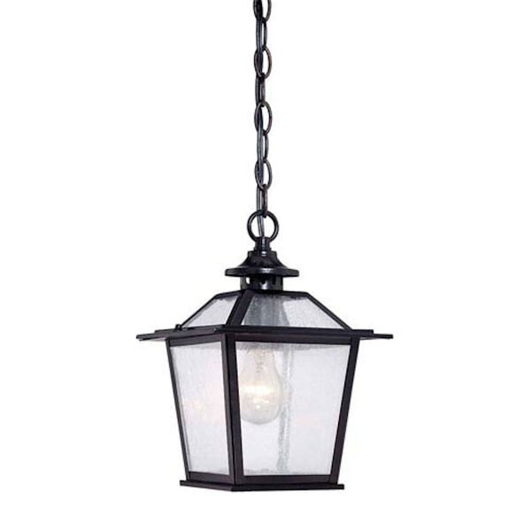 Salem Matte Black One-Light Outdoor Hanging Lantern with Clear Seeded Glass, image 1