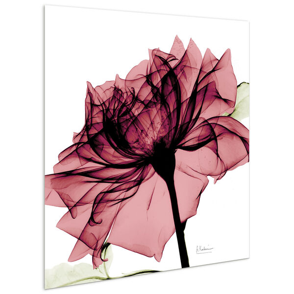 Chianti Rose I Frameless Free Floating Tempered Glass Graphic Wall Art, image 3