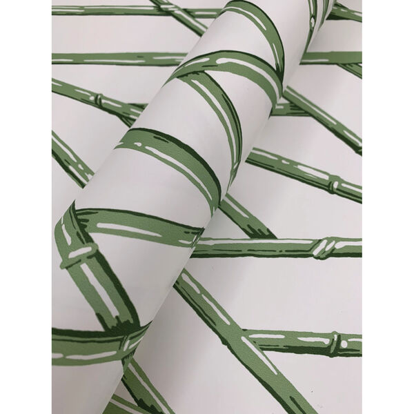 Waters Edge Green Riviera Bamboo Trellis Pre Pasted Wallpaper - SAMPLE SWATCH ONLY, image 6