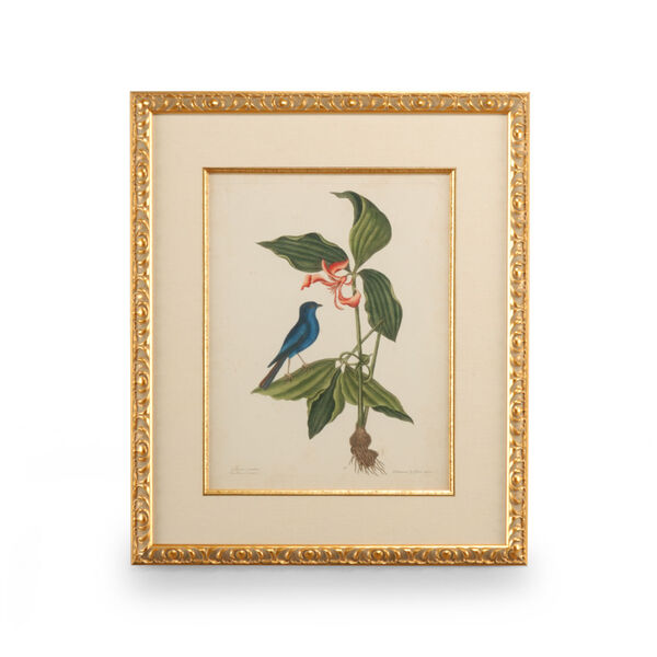 Gold Catesby Bird and Botanical IV Wall Art, image 1