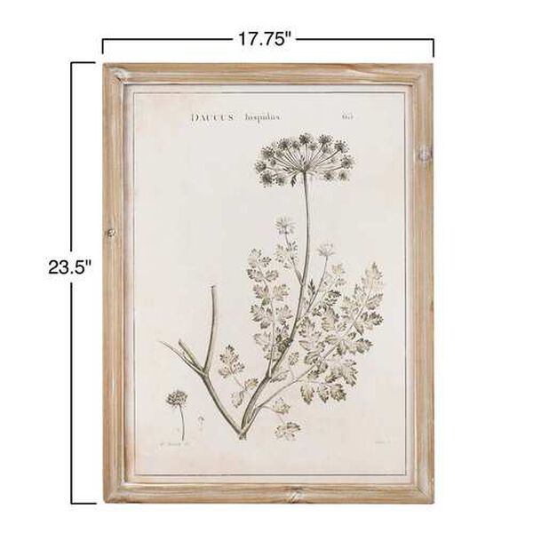 White 18 x 24-Inch Vintage Reproduction Botanical Print Wall Art, Set of 4, image 5