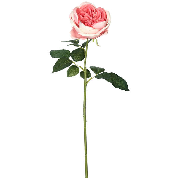 Dark Pink Open Rose Stem, Set of Six, image 1