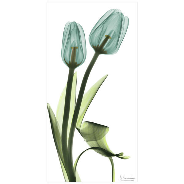 Blue Tulips Frameless Free Floating Tempered Glass Graphic Wall Art, image 2