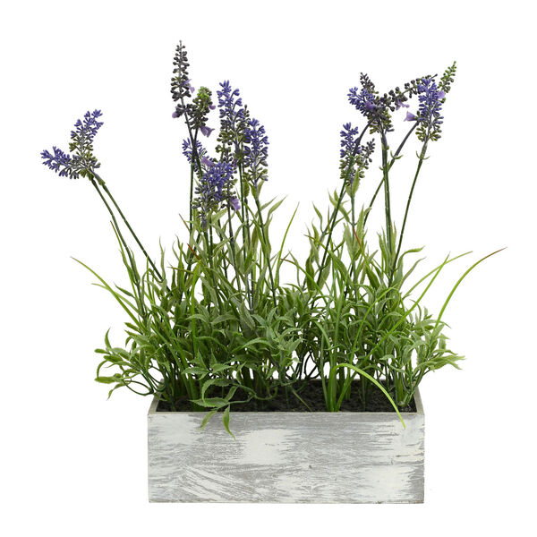 Green Plant in Wooden Rectangle Pot, image 1