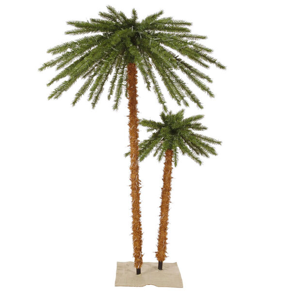 Outdoor Palm Tree, image 1