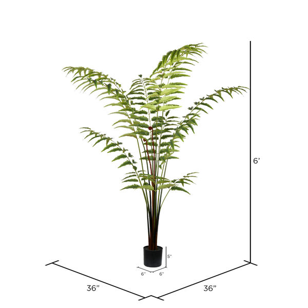Green Leather Fern with 228 Leaves in Black Pot, image 2