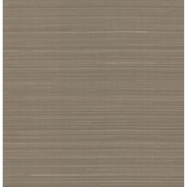 Antonina Vella Elegant Earth Sand Abaca Weaves Wallpaper, image 2