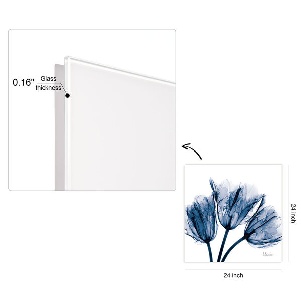 Blue Tulip Frameless Free Floating Tempered Glass Graphic Wall Art, image 4