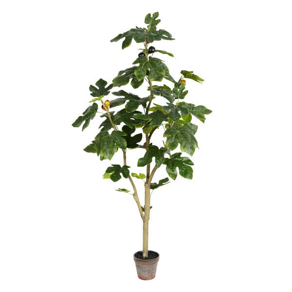 Green 4-Feet Potted Fig Tree with 45 Leaves, image 1