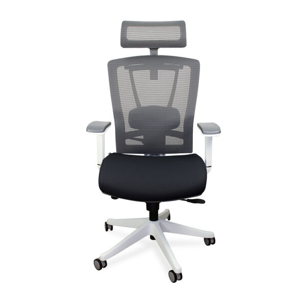 Autonomous Black and White Premium Ergonomic Office Chair, image 1