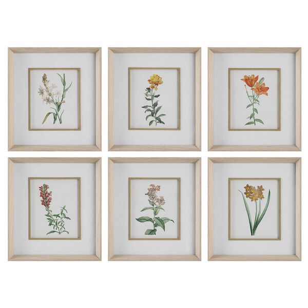 Classic Botanicals Multicolor Framed Prints, Set of Six, image 2