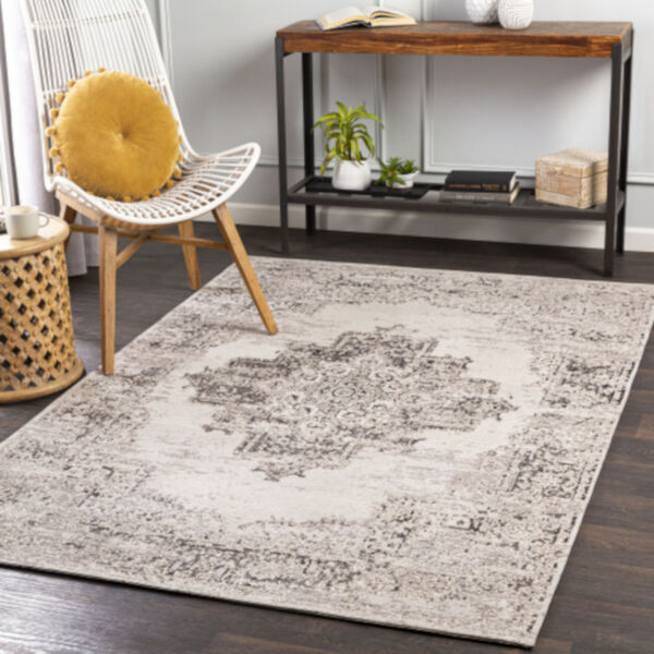 Amsterdam Taupe and Beige Rectangular: 2 Ft. x 3 Ft. Rug, image 2
