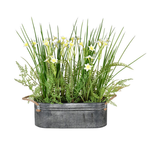 Green Daffodil with Galvanized Pot, image 1