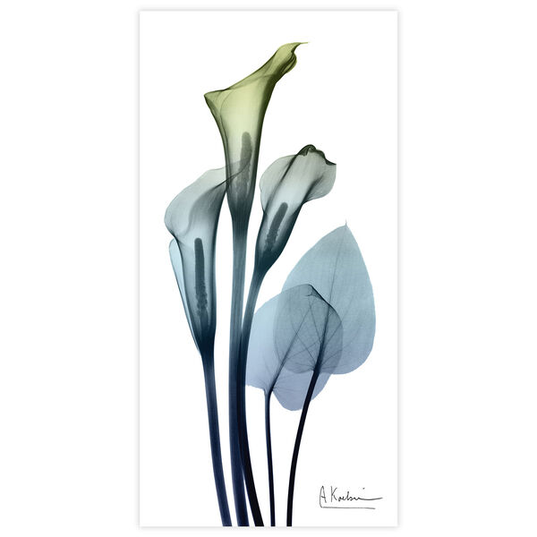 Calia Lily Frameless Free Floating Tempered Glass Graphic Wall Art, image 2