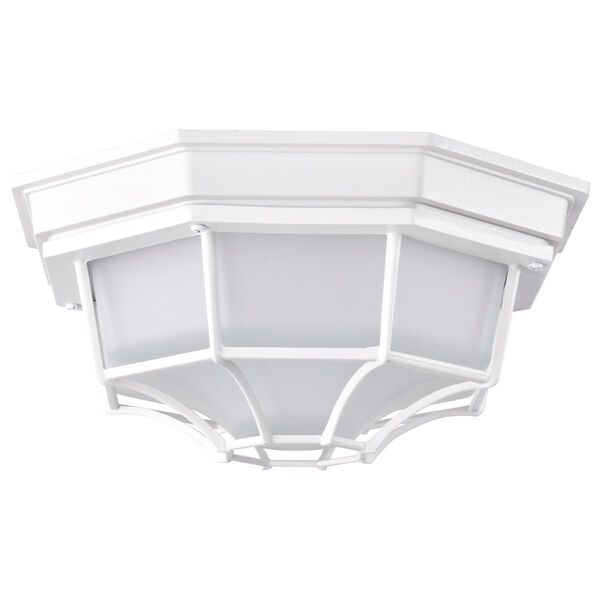 White LED Spider Cage Outdoor Wall Mount with Frosted Glass, image 5