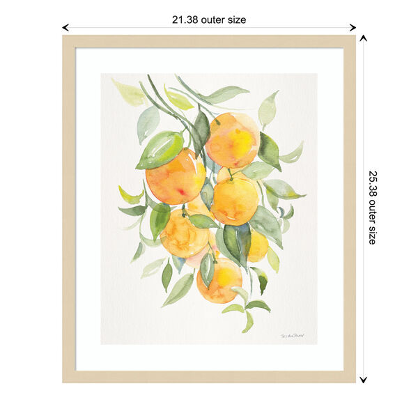 Patricia Shaw Brown Orange Citrus 21 x 25 Inch Wall Art, image 3