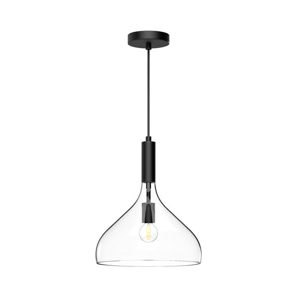 Belleview Matte Black One-Light Pendant with Clear Glass, image 1