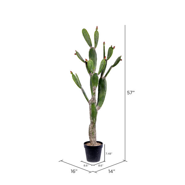 Green 57-Inch Cactus with Black Pot, image 2
