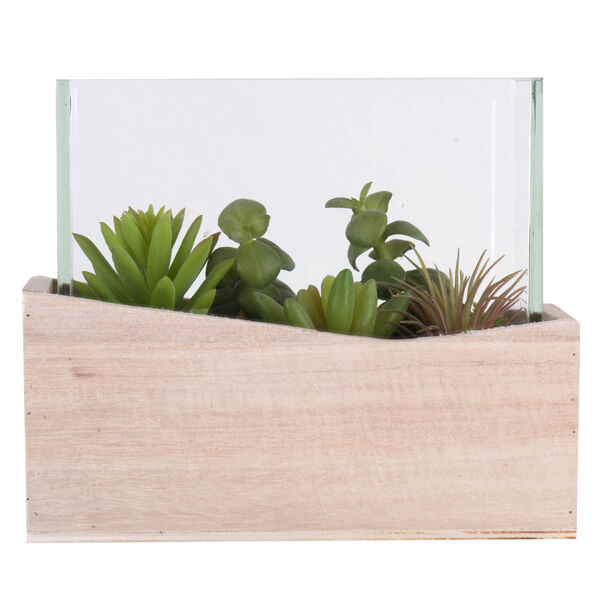 Green Assorted Succulents in Glass, image 1