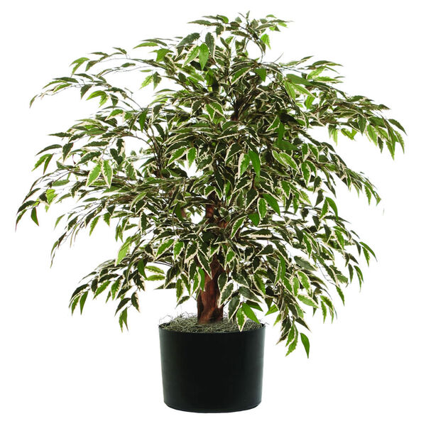 Green and White 4 Foot Extra Full Variegated Smilax Tree, image 1