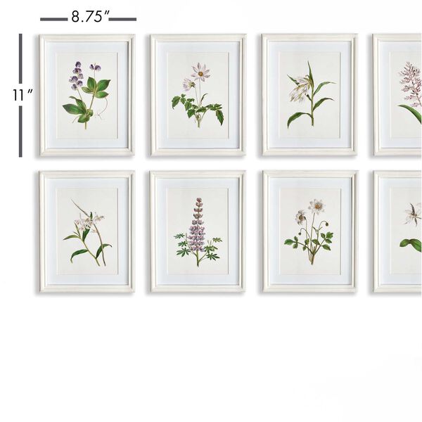 Multicolor Flowers In Bloom Petite Prints Wall Art, Set of Eight, image 4