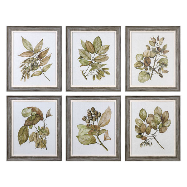 Seedlings Framed Prints, Set of 6, image 1