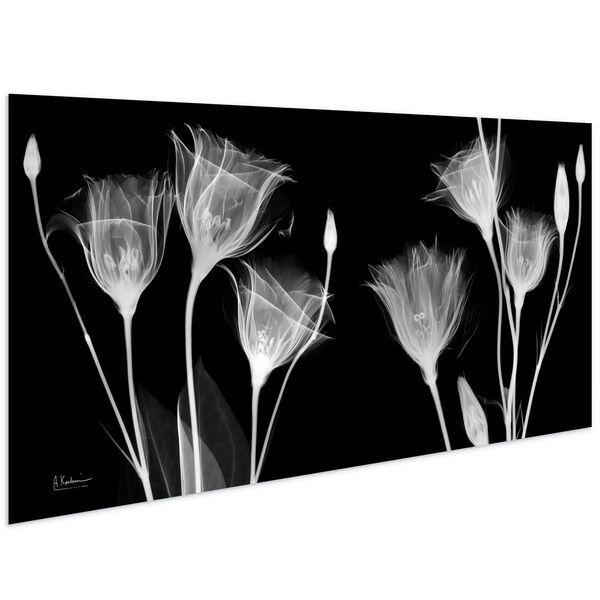 Gentian X-ray Frameless Free Floating Tempered Glass Graphic Wall Art, image 3