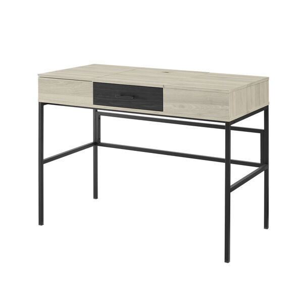 Lilian Birch and Graphite Storage Desk with Tablet Holder, image 6