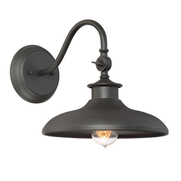 Raliegh Black One-Light Outdoor Sconce, image 1