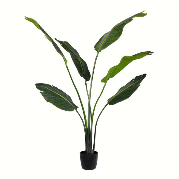 Green Potted Travelers Palm with 6 Leaves, image 1