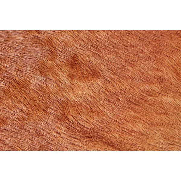 Bartlett Brown Novelty Small Area Rug, image 4