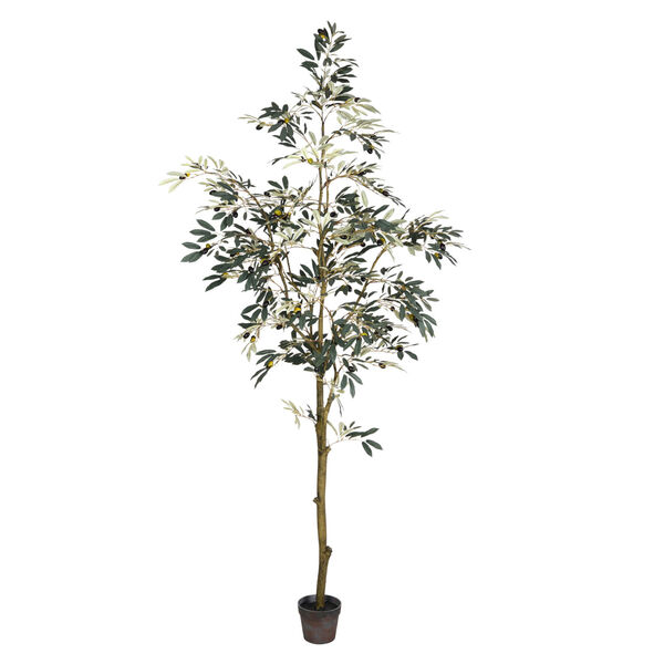 Green P7-Feet otted Olive Tree with 1175 Leaves, image 1