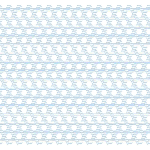 Lillian August Luxe Retreat Carolina Blue and Eggshell Cabana Wicker Unpasted Wallpaper, image 1