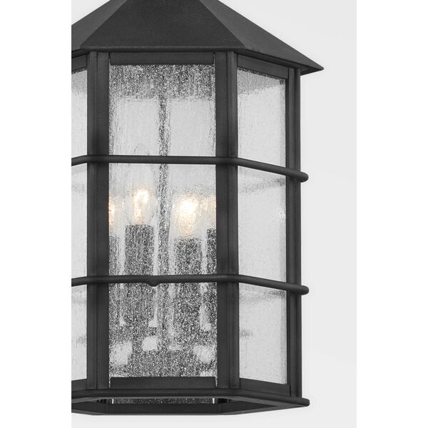 Lake County French Iron Four-Light Chandelier, image 3
