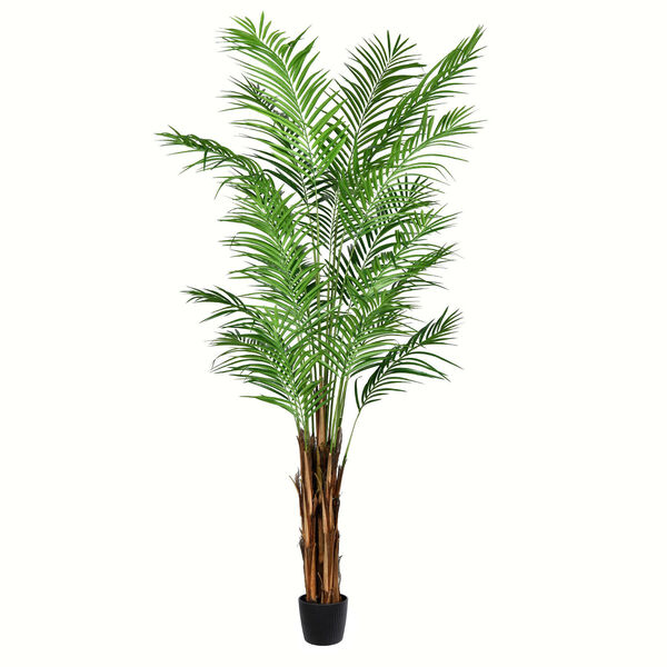 Green Potted Areca Palm with 739 Leaves, image 1