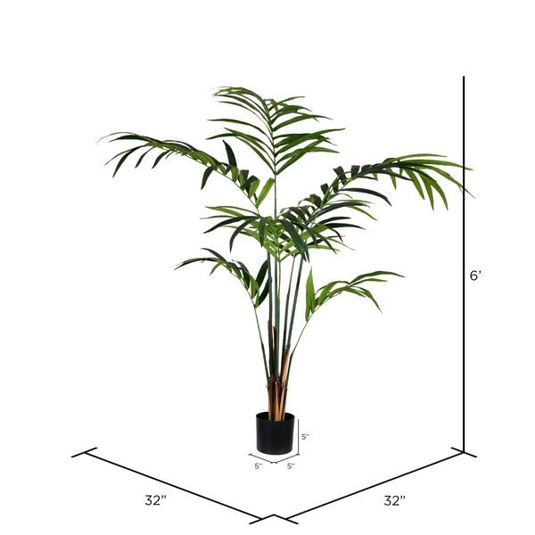 Green Potted Kentia Palm with 118 Leaves, image 2