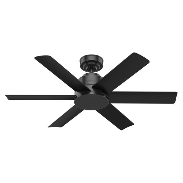 Kennicott  44-Inch Outdoor Ceiling Fan, image 1
