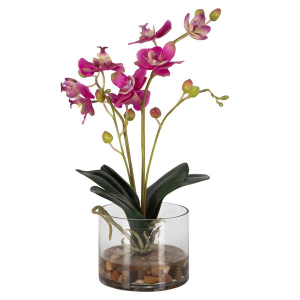 Glory Orchid Pink Natural Clear Fuchsia Orchid In Glass Container, image 1