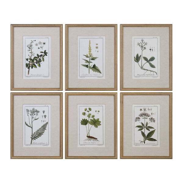Green Floral Botanical Study Prints, Set of 6, image 1