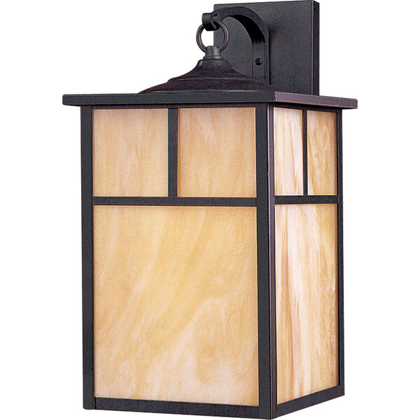 Coldwater Burnished One-Light Outdoor Wall Mount with Honey Glass, image 1