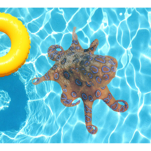 Orange Octopus Underwater Pool Tattoo, image 1