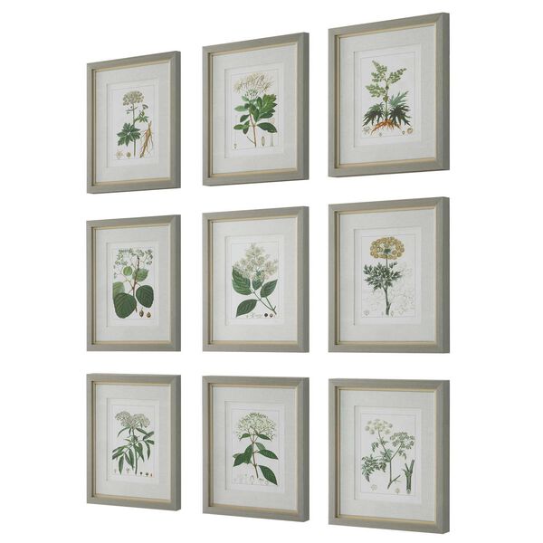 Antique Light Gray Botanicals Framed Prints, Set of 9, image 4