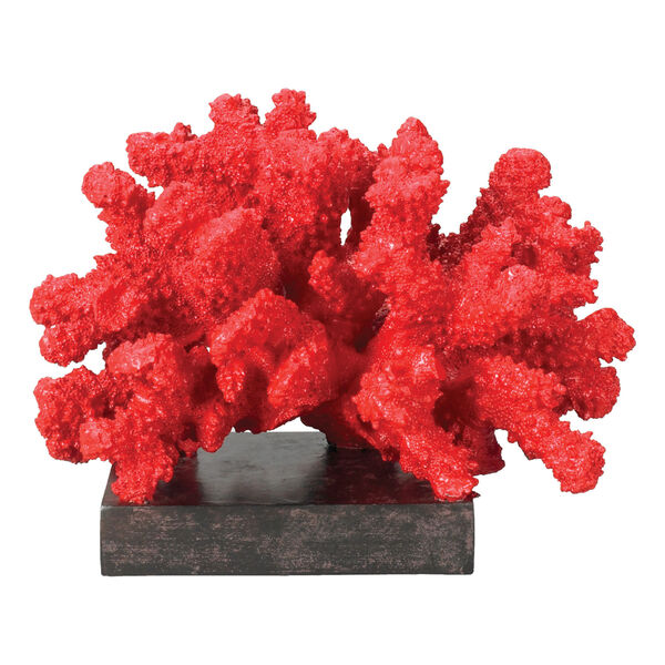 Fire Island Coral, image 2