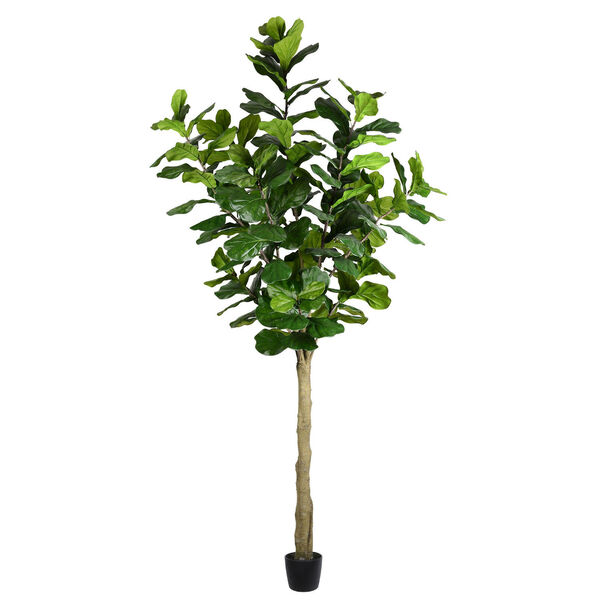 Green Potted Fiddle Tree with 184 Leaves, image 1